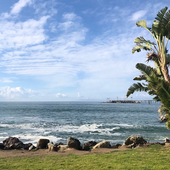 Meet your Posher, Jannett - Picture 2 of 3